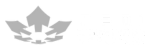 CEMI