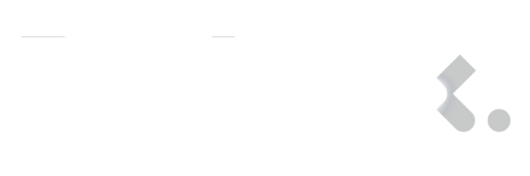 Robex Resources